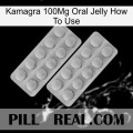 Kamagra 100Mg Oral Jelly How To Use 19